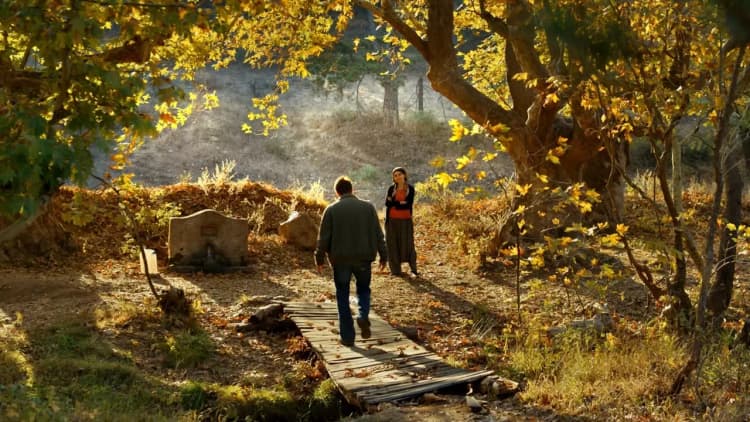 The Wild Pear Tree Poster