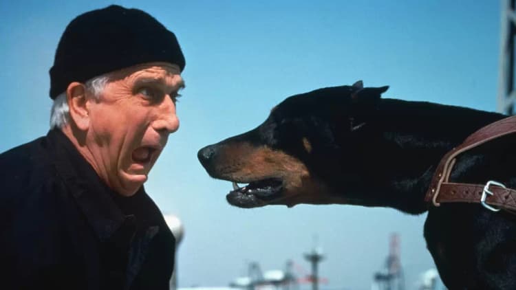 The Naked Gun 2½: The Smell of Fear Poster