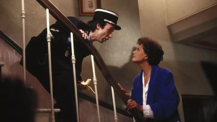 Son of the Pink Panther Poster