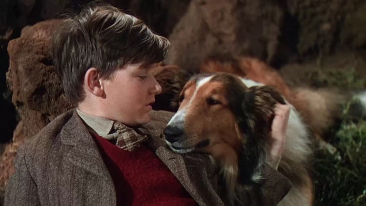 Lassie Come Home Poster