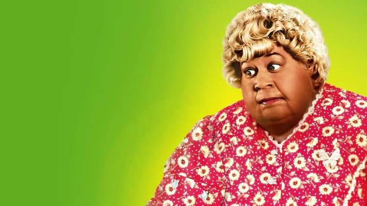 Big Momma's House Poster