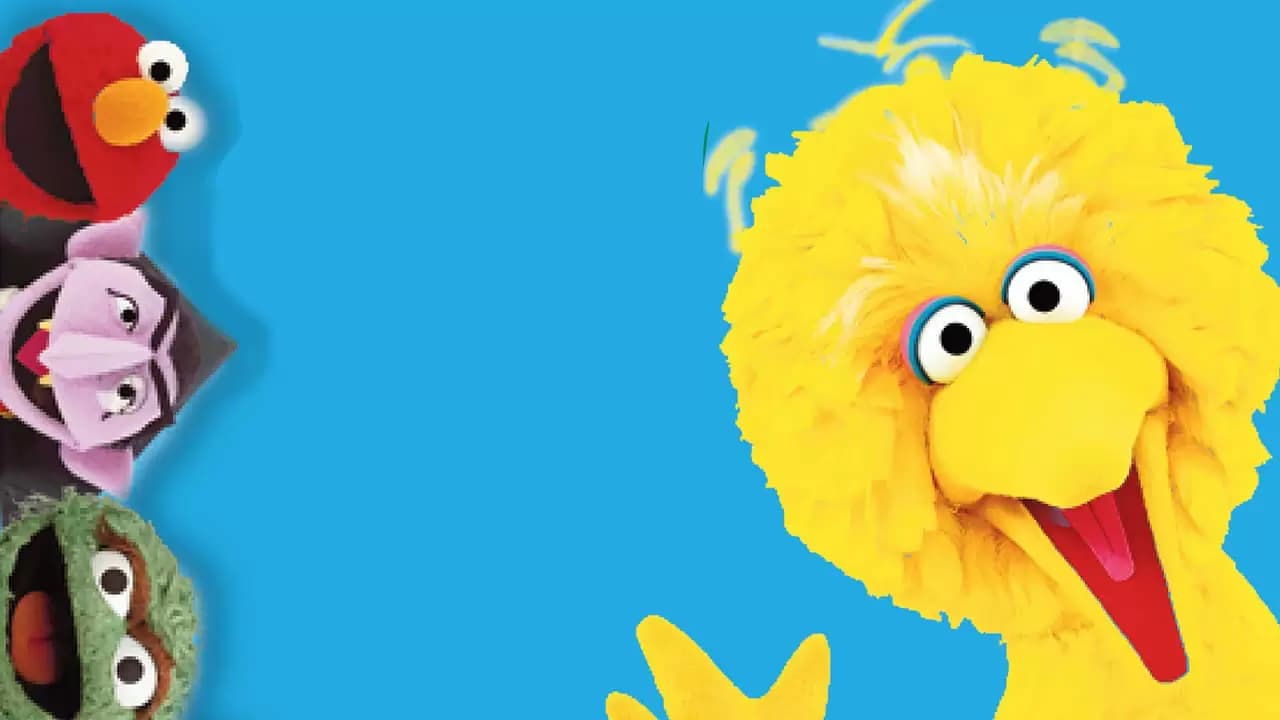 Follow That Bird Backdrop