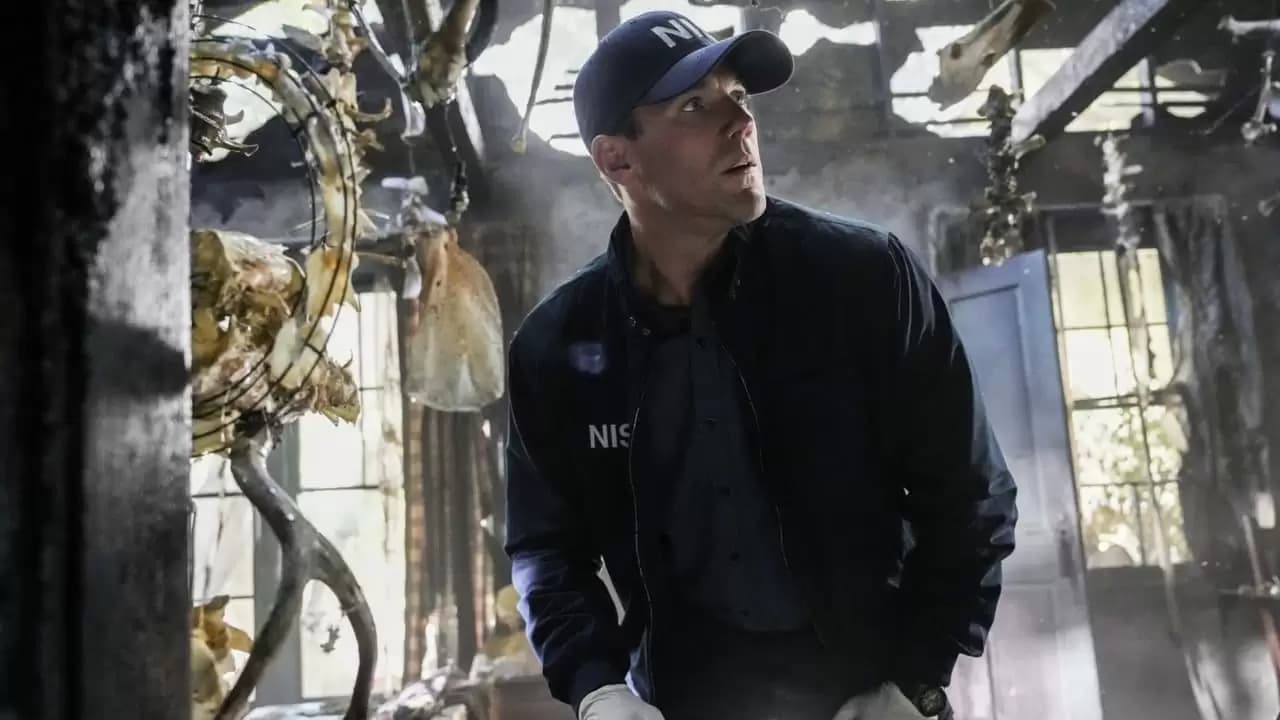 NCIS: Origins Backdrop