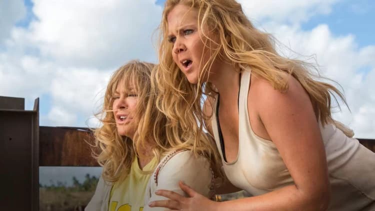 Snatched Poster