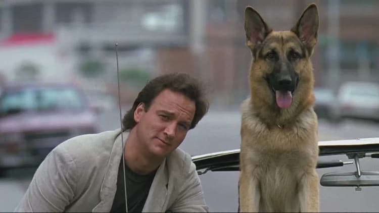 K-9 Poster