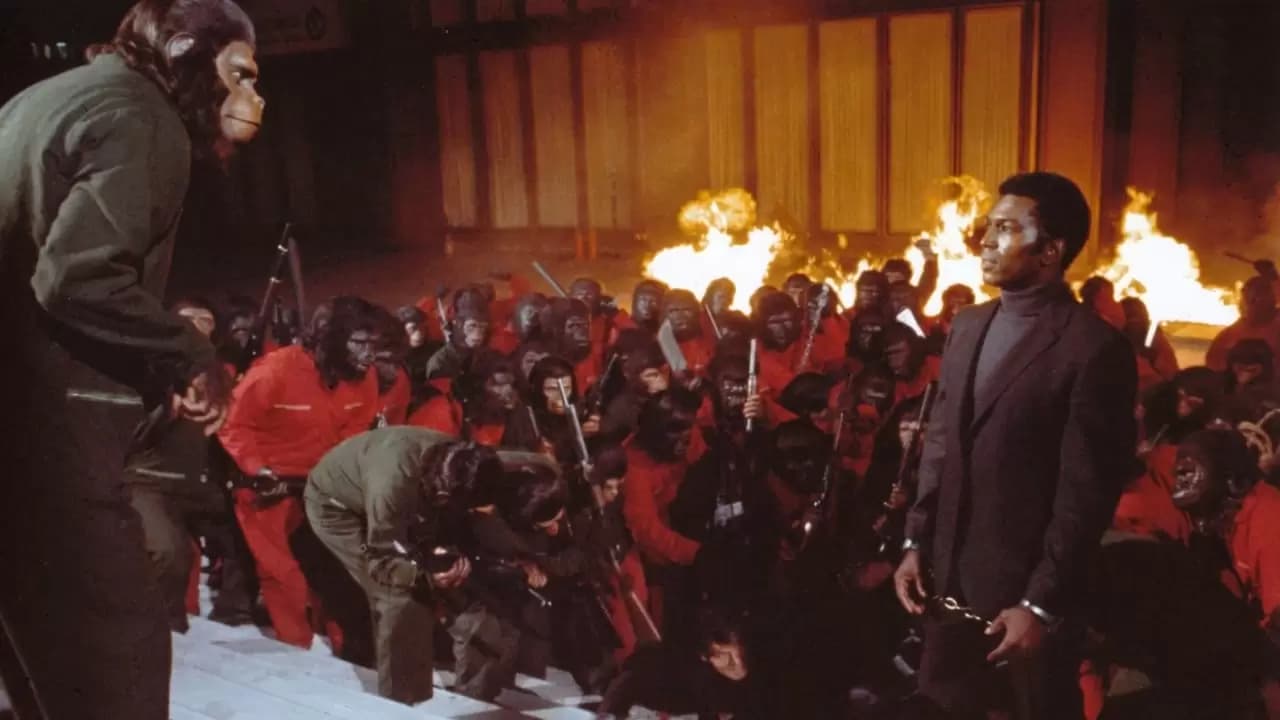 Conquest of the Planet of the Apes Backdrop