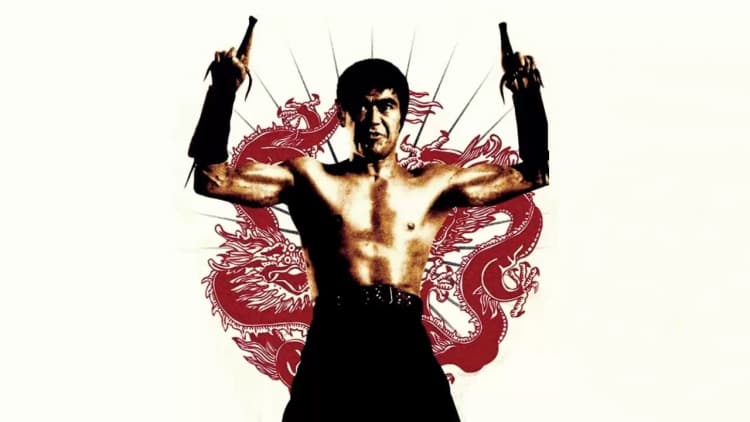 The Street Fighter Poster