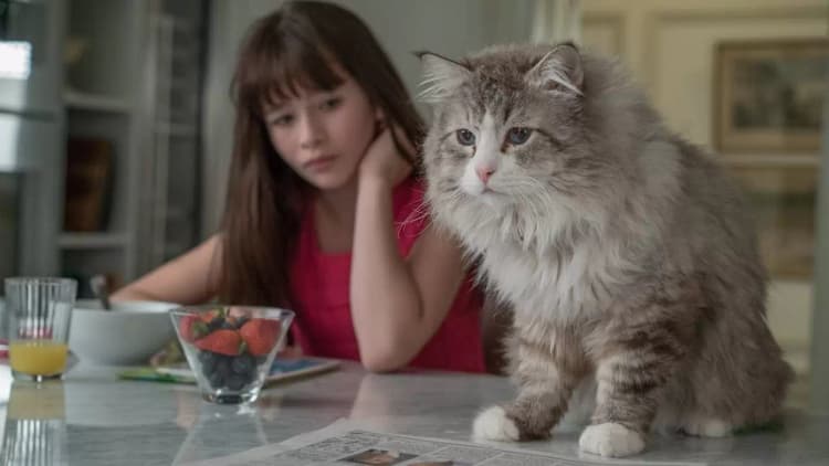 Nine Lives Poster