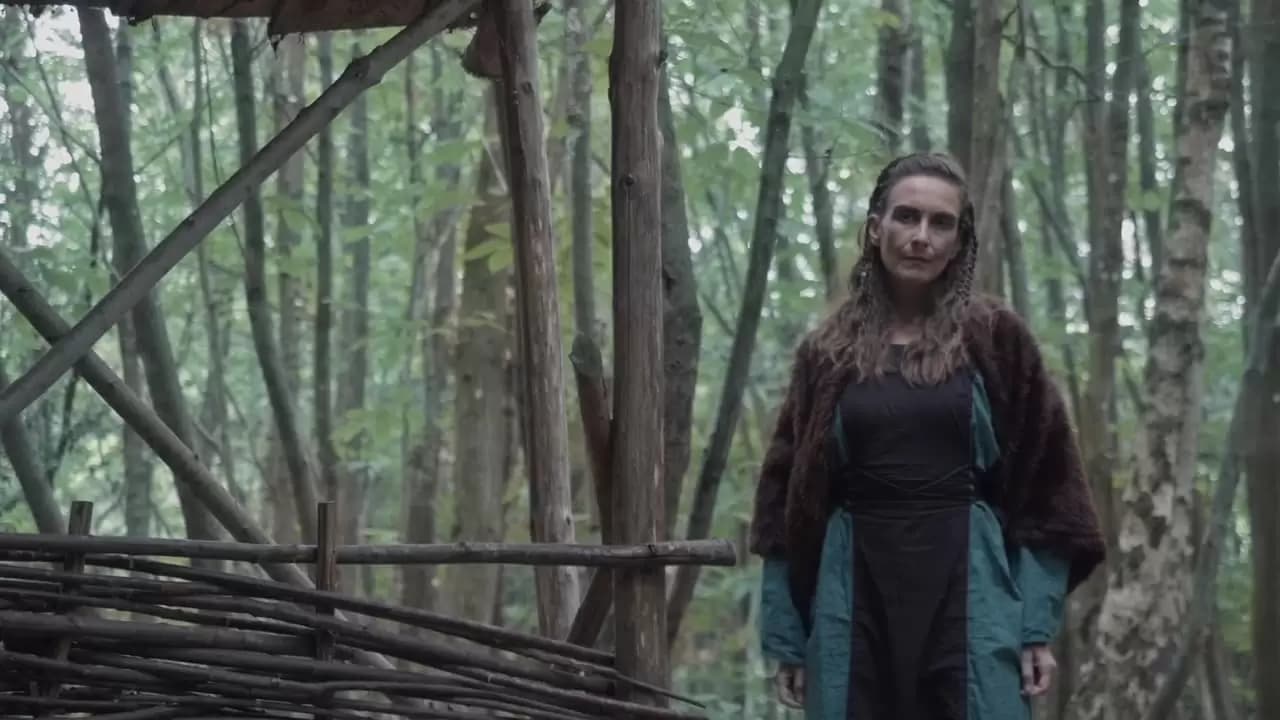 Vikings: Blood Lust Backdrop