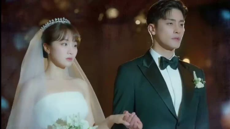 Perfect Marriage Revenge Poster