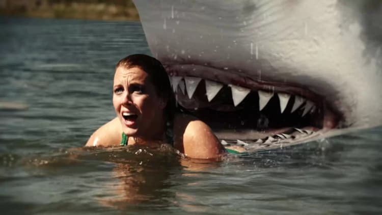 Jurassic Shark Poster
