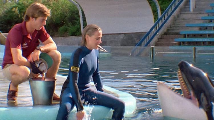 Jaws 3-D Poster