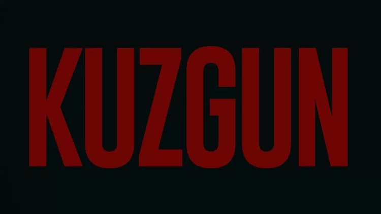 Kuzgun Poster