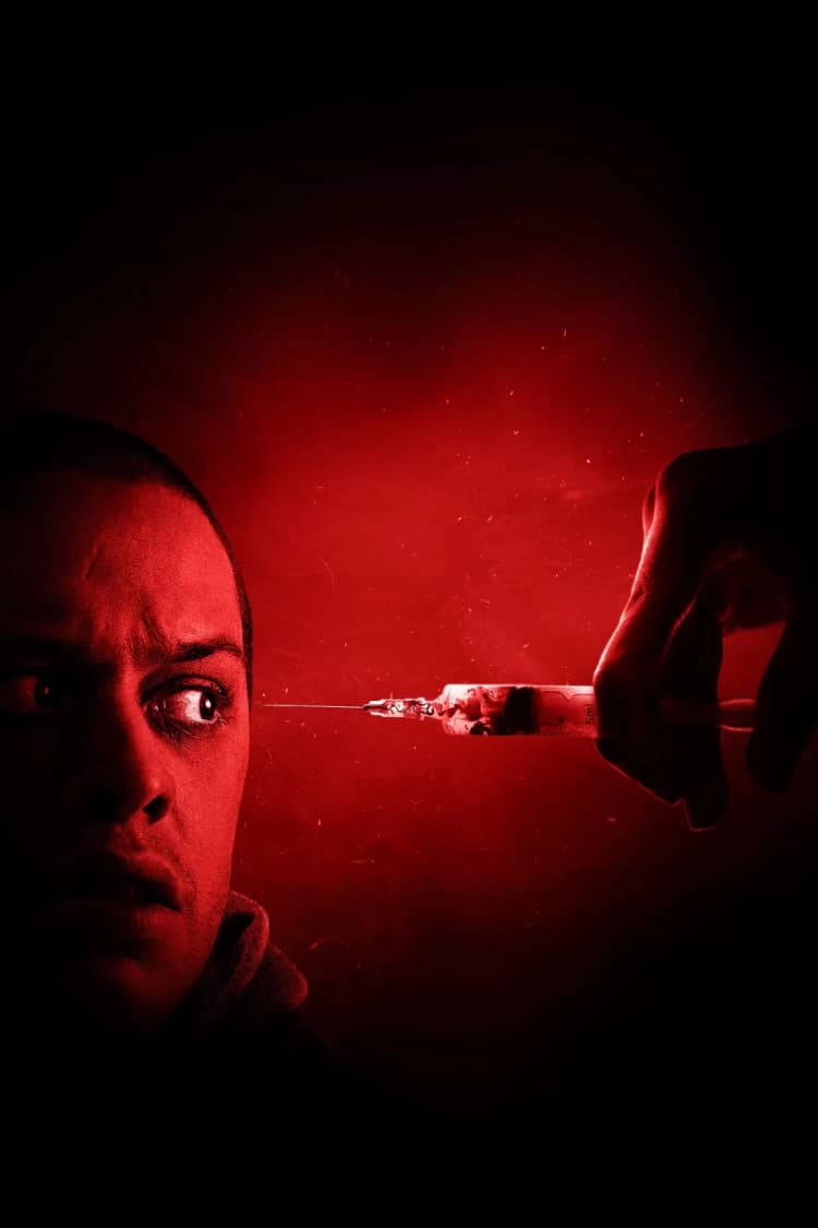 The Home Poster