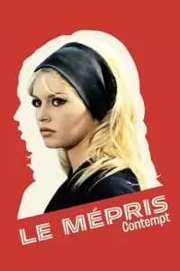 Contempt