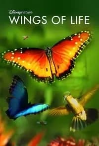 Disneynature: Wings of Life