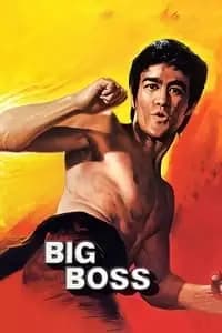The Big Boss