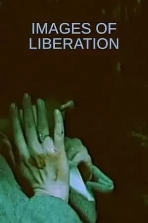 Befrielsesbilleder Poster