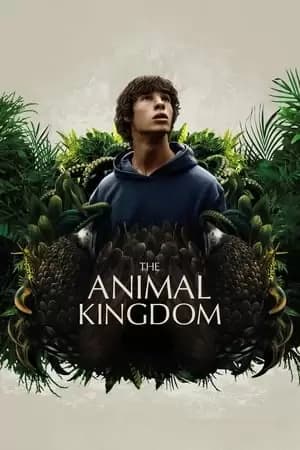 Animalia Poster