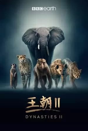Dynastien II Poster