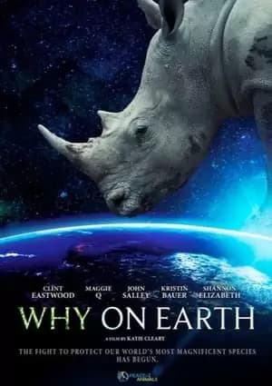 Why on Earth Poster