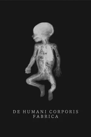 The Fabric of the Human Body Poster