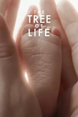 The Tree of Life Poster