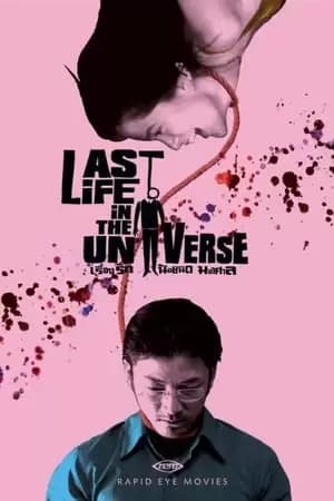 Last Life in the Universe Poster