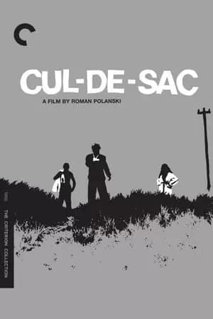 Cul-de-sac Poster