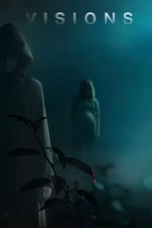 Visions Poster