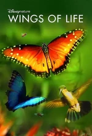 Disneynature: Wings of Life Poster
