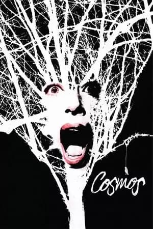 Cosmos Poster