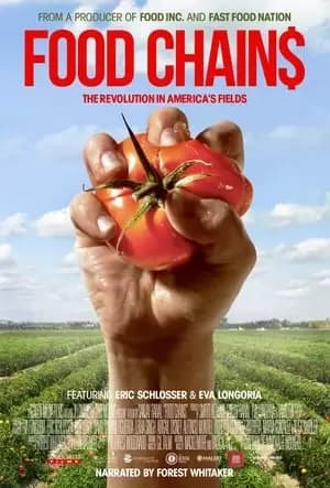 Food Chains Poster