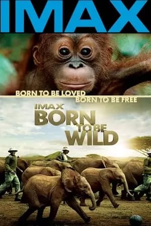 Born to Be Wild Poster