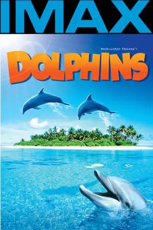 Dolphins Poster