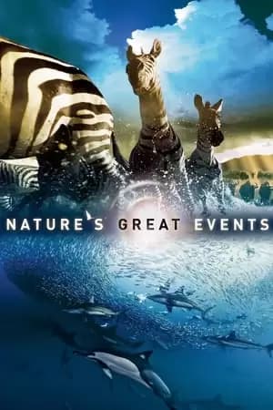 Nature's Most Amazing Events Poster