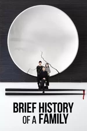 Brief History of a Family Poster