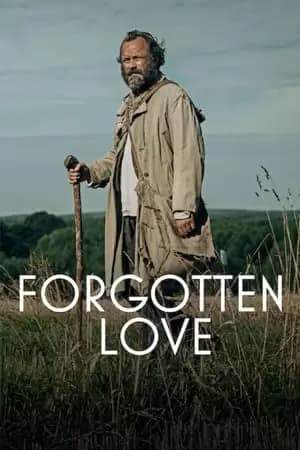 Forgotten Love Poster