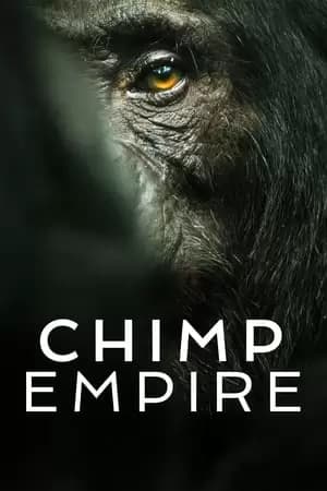 Chimp Empire Poster