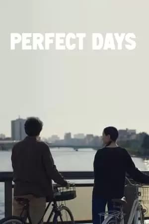 Perfect Days Poster