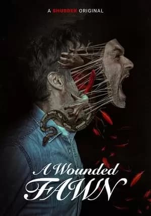 A Wounded Fawn Poster