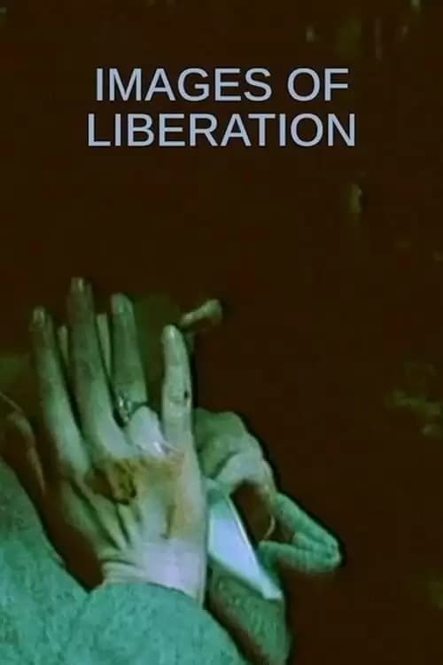 Befrielsesbilleder Poster