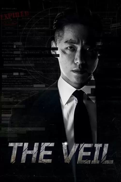 The Veil Poster
