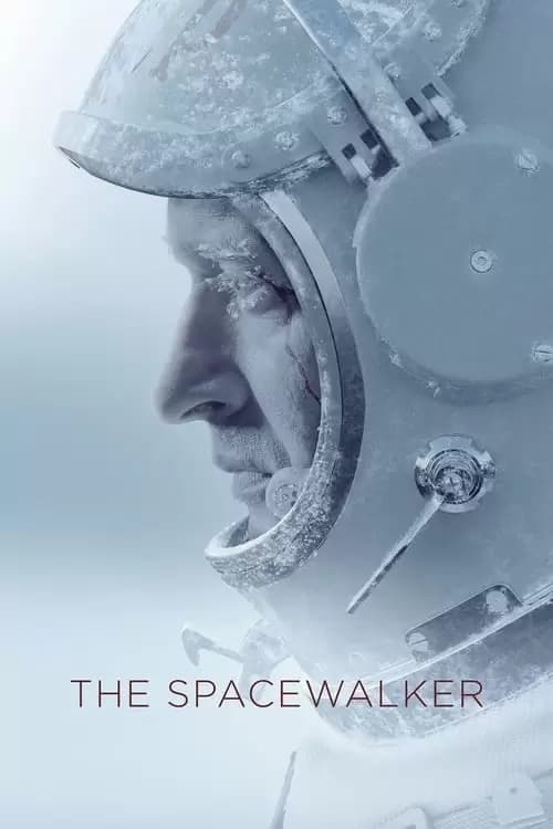 Spacewalk Poster