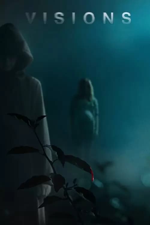 Visions Poster