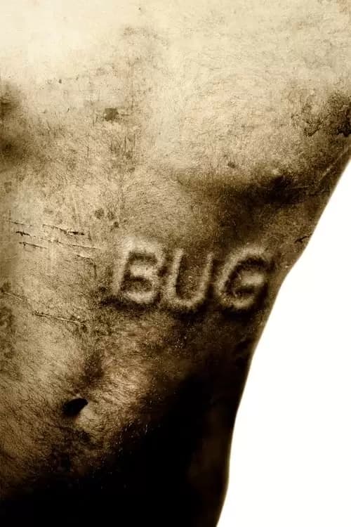 Bug Poster
