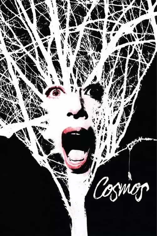 Cosmos Poster
