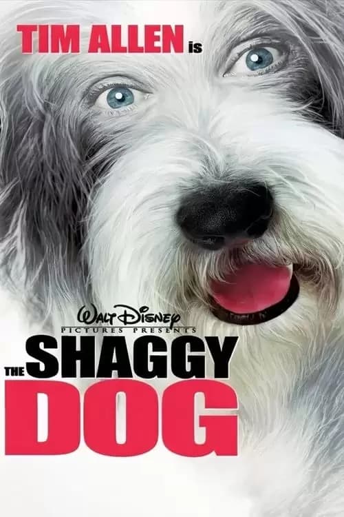 The Shaggy Dog Poster