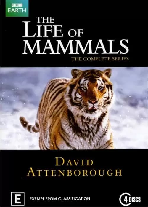 The Life of Mammals Poster