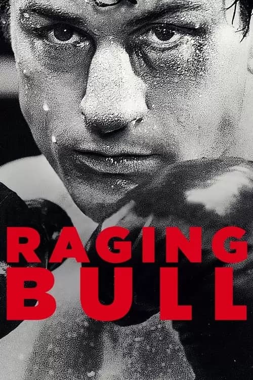 Raging Bull Poster
